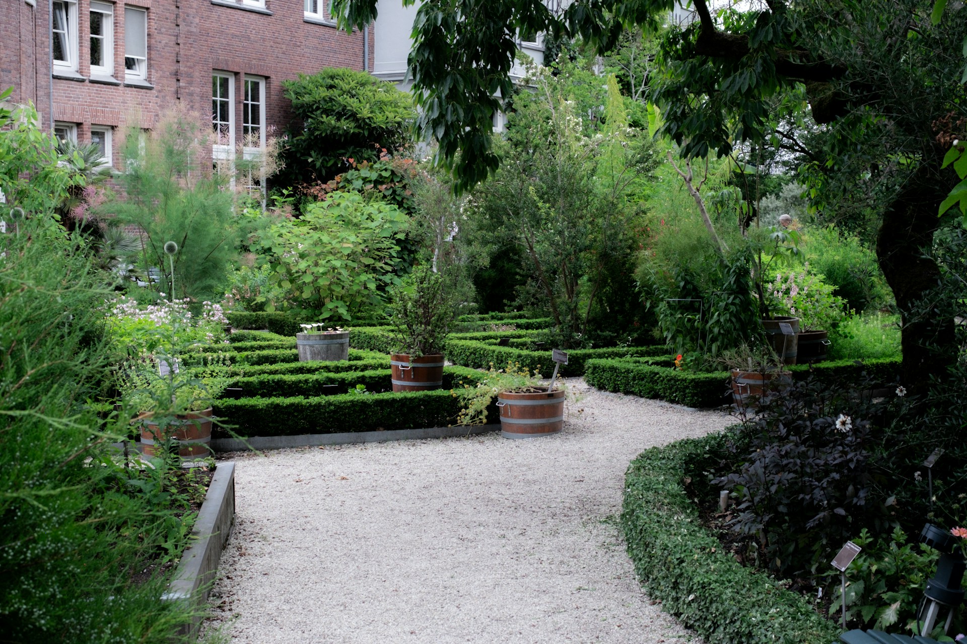 Formal garden courtyard with manicured hedges